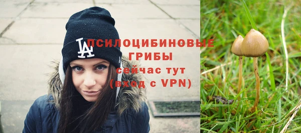дмт Беломорск