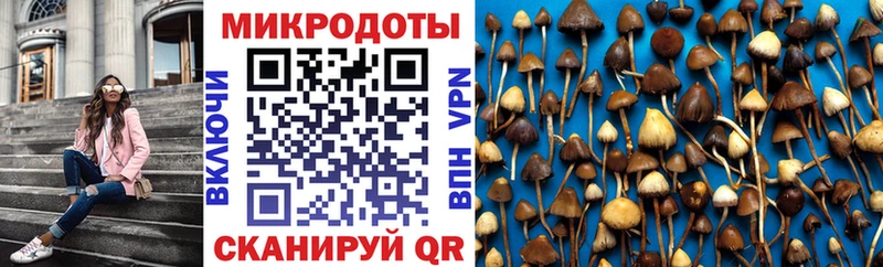 Псилоцибиновые грибы ЛСД  OMG онион  Приволжский 